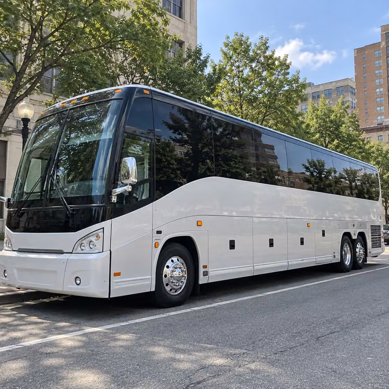 sugar land sports team fan transportation services
